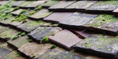 Winnersh roof repair costs